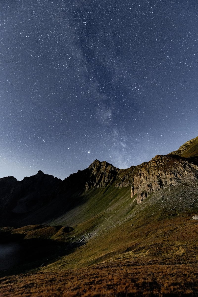 Starry Night Lights